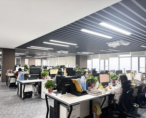 CHINA SONSILL HOLDING Perfil da companhia